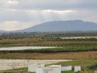 Forum Tunisien pour la Souveraineté Alimentaire (Premier texte)